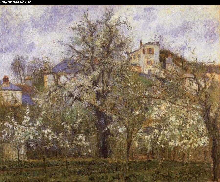 Camille Pissarro Vegetable Garden and Trees in Blossom